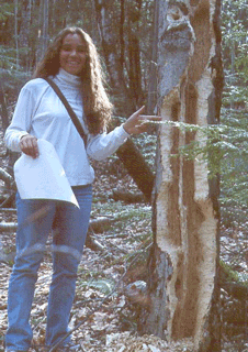 Woman by Pileated Woodpecker