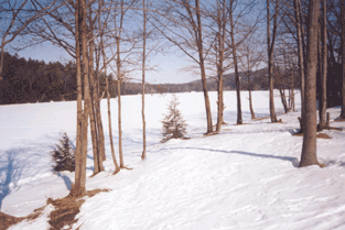 Indian Brook Park Covered in Snow