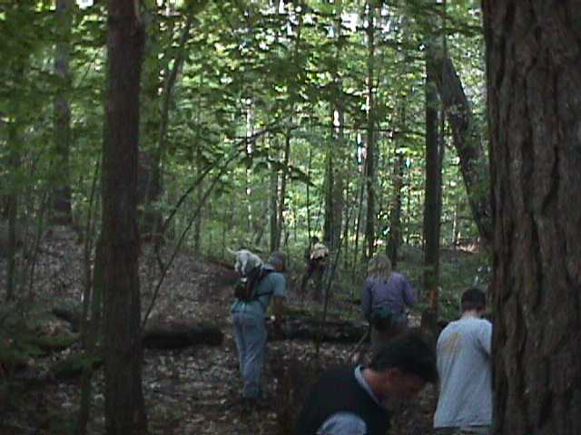 Fellowship of the Wheel Volunteers in the Saxon Hill Forest