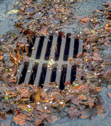 StormDrain_Photo